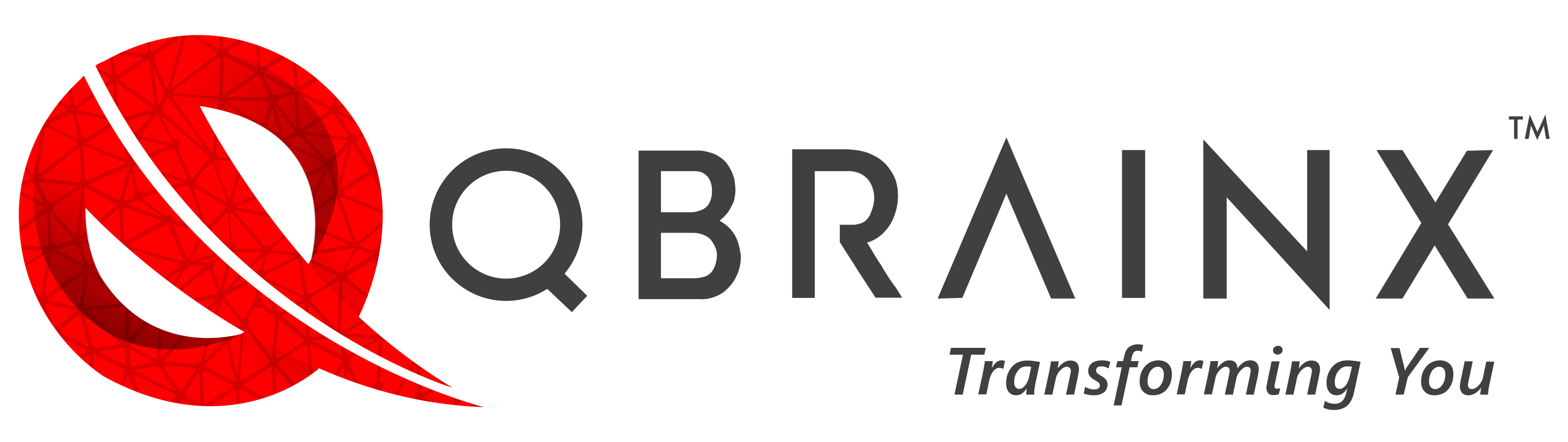 Partner Logo 4